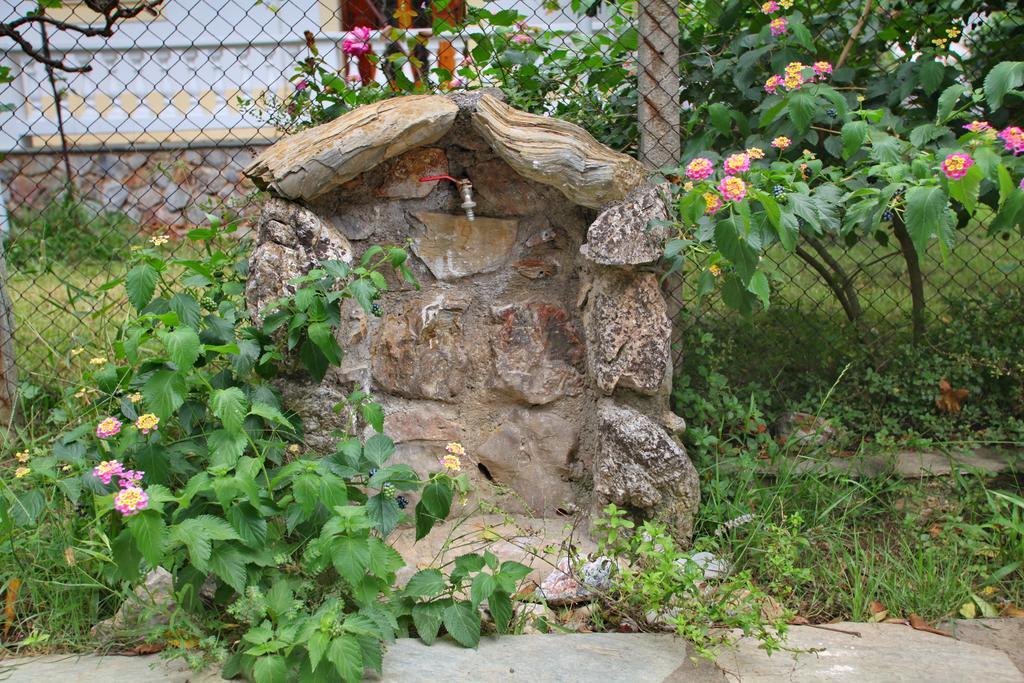 Marlitsis Apartments & Studios スコペロス エクステリア 写真